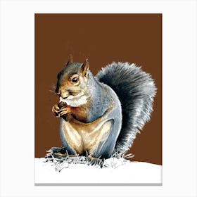The Grey Squirrel On Roast Peach Canvas Print