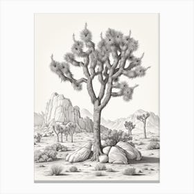  Detailed Drawing Of A Joshua Tree At Dawn In Desert 3 Canvas Print