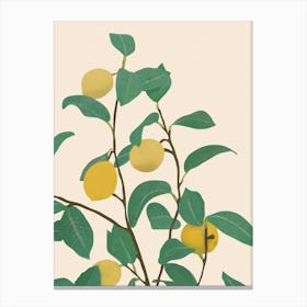 Lemon Canvas Print