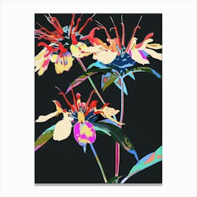 Neon Flowers On Black Bee Balm 4 Canvas Print
