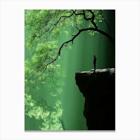 Person Standing On A Cliff Canvas Print