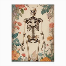 Botanical Skeleton Vintage Painting (27) Canvas Print