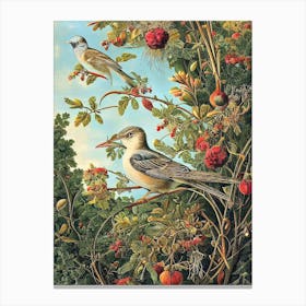 Mockingbird 2 Haeckel Style Vintage Illustration Bird Canvas Print