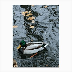 Duck and nature animals art Canvas Print