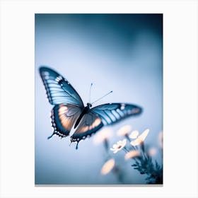 Flying Butterfly Canvas Print
