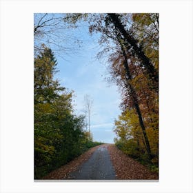 Autumn Road 14 Canvas Print