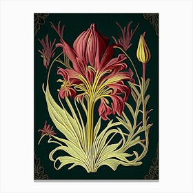 Saffron Herb Vintage Botanical Canvas Print
