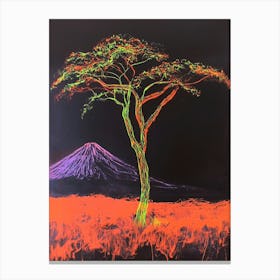 Acacia Tree Canvas Print