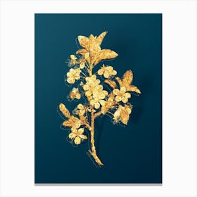 Vintage White Plum Flower Botanical in Gold on Teal Blue n.0307 Canvas Print