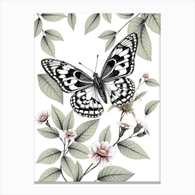 Butterfly And Flowers 4 Canvas Print