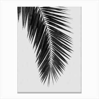 Palm Leaf Bw I Canvas Print