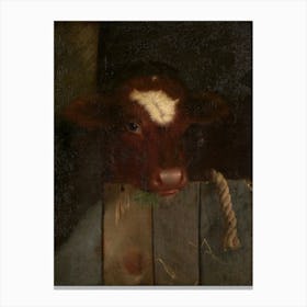 Vintage Cow In A Barn Canvas Print