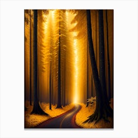 Road In The Forest By Person Canvas Print