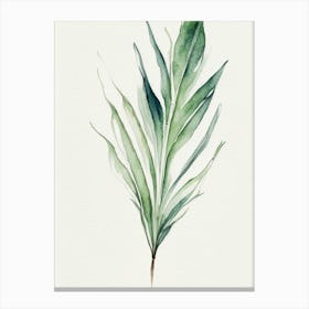 Yucca Leaf Minimalist Watercolour 5 Canvas Print