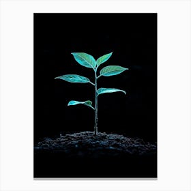 Plant Growing In The Dark 12 Canvas Print