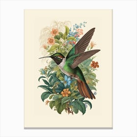 Hummingbird botanical flower beauty 8 Canvas Print