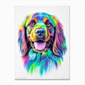 Boykin Spaniel Rainbow Oil Painting dog Canvas Print