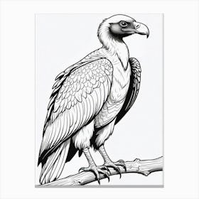 Vulture Coloring Page Bird Wildlife Animal Drawing Canvas Print
