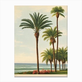 Newport Beach California Vintage Canvas Print
