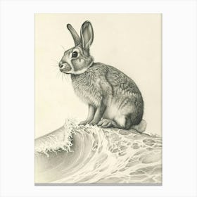 Jersey Wooly Rabbit Drawing 3 Canvas Print