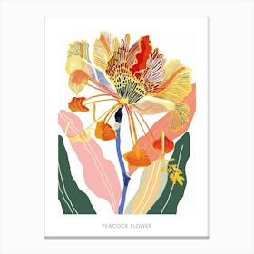 Colourful Flower Illustration Poster Peacock Flower 3 Canvas Print