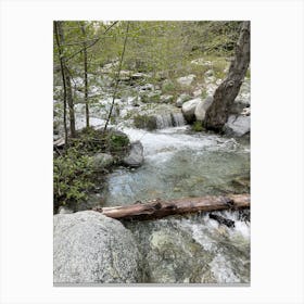 Stream In The Woods 5 Canvas Print