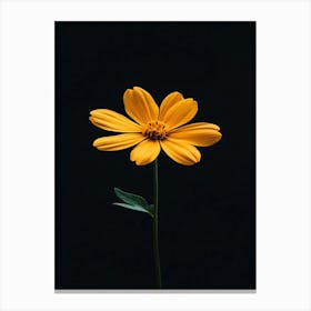 Single Yellow Flower On Black Background 4 Canvas Print