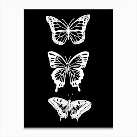 Three Butterflies On A Black Background Canvas Print