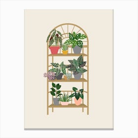 Boho Plant Shelf Canvas Print