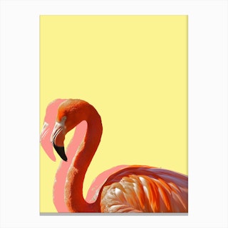 Pastel Flamingo IV Canvas Print