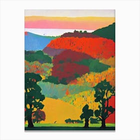 Ranthambore National Park India Abstract Colourful Canvas Print