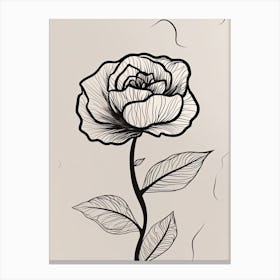 Line Art Roses Flowers Illustration Neutral 12 Canvas Print