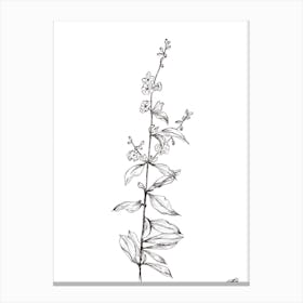 Black and White Delicate Flower Stem Canvas Print