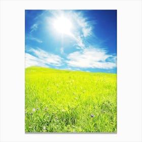 Field With Blue Sky Canvas Print