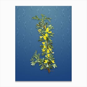 Vintage Caragana Spinosa Botanical on Bahama Blue Pattern n.0029 Canvas Print