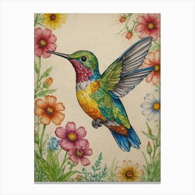 Hummingbird 49 Canvas Print