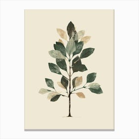 Balsam Tree Minimal Japandi Illustration 3 Canvas Print
