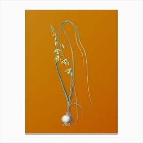 Vintage Albuca Botanical on Sunset Orange n.0839 Canvas Print