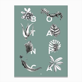 Botanica Letters Seagreen Canvas Print