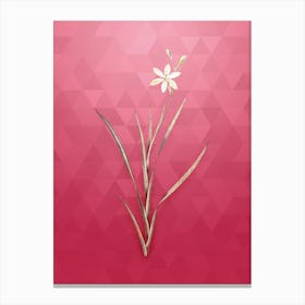 Vintage Ixia Anemonae Flora Botanical in Gold on Viva Magenta n.0295 Canvas Print