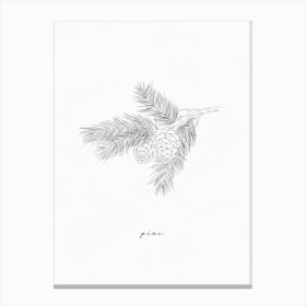 Pine Branch Line Drawing Canvas Print