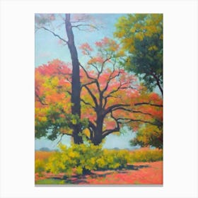Spanish Oak Tree Watercolour Canvas Print