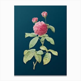 Vintage Agatha Rose in Bloom Botanical Art on Teal Blue n.0860 Canvas Print