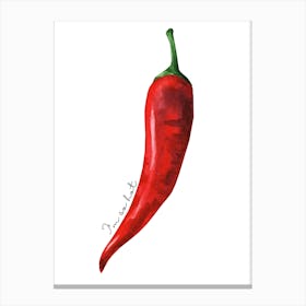 Red Chili Pepper Canvas Print