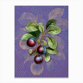 Vintage Cherry Plum Botanical Illustration on Veri Peri n.0181 Canvas Print