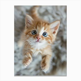 Cute Kitten 2 Canvas Print