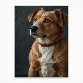 Dog portrait Canvas Print