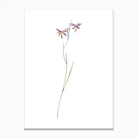 Stained Glass Gladiolus Watsonius Mosaic Botanical Illustration on White Canvas Print