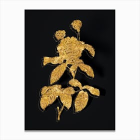 Vintage Agatha Rose in Bloom Botanical in Gold on Black n.0424 Canvas Print