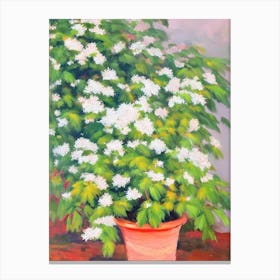 Japanese Aralia 3 Impressionist Painting Plant Canvas Print